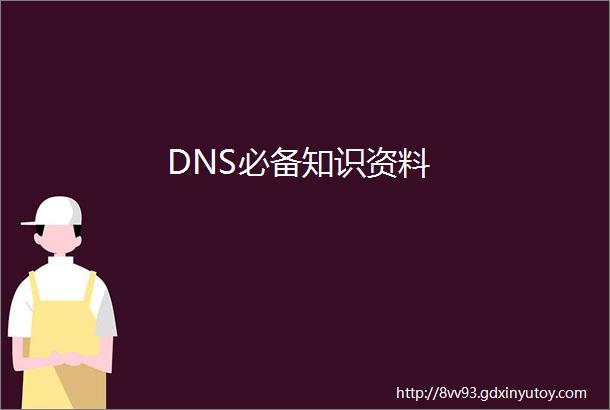 DNS必备知识资料